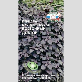 Перилла Восточный Доктор кустарниковая