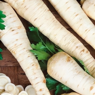 Петрушка Доброе утро (корневая)