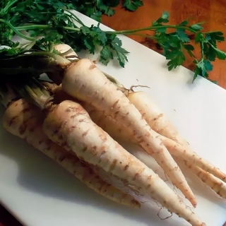 Петрушка Лекарь (корневая)