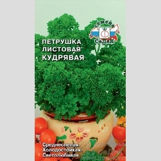 Петрушка Кудрявая (листовая)