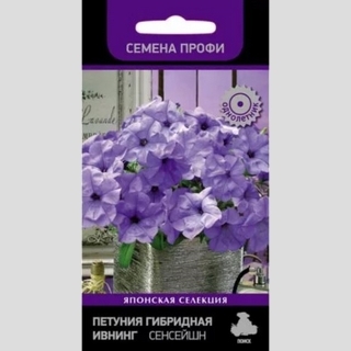 Петуния Ивнинг Сенсейшн F1 (Семена Профи)