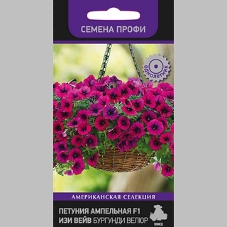 Петуния Изи Вейв F1 Бургунди Велюр (Семена Профи)