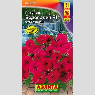 Петуния Водопадия F1 Бургундия