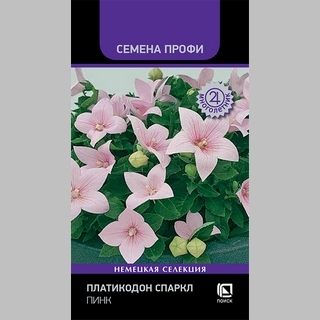 Платикодон Спаркл Пинк