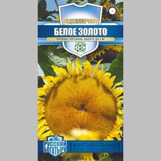 Подсолнечник Белое золото декоративный