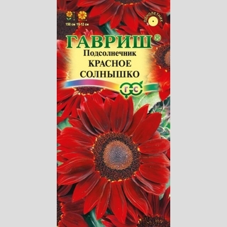 Подсолнечник Красное солнышко декоративный