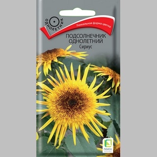 Подсолнечник Сириус