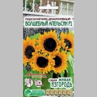 Подсолнечник Волшебный Апельсин F1 декоративный