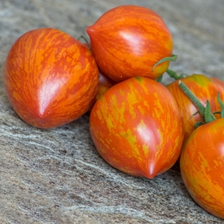 Томат Полосатое сердце