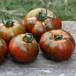 Томат Полосатый Шоколад