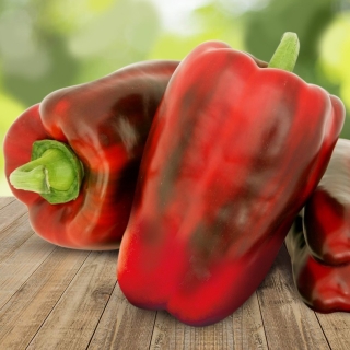 Перец Помпео F1 (Нунемс)