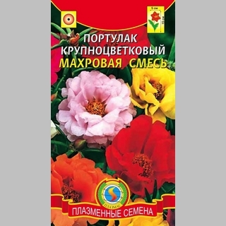 Портулак Крупноцветковый махровая смесь