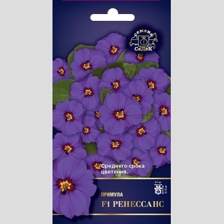 Примула Ренессанс F1 (бесстебельная)