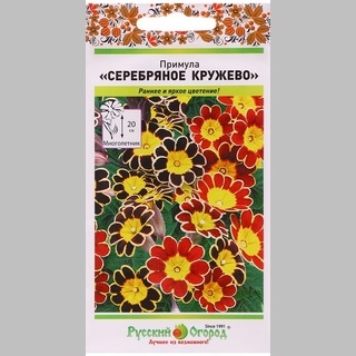 Примула Серебряное кружево F1 смесь