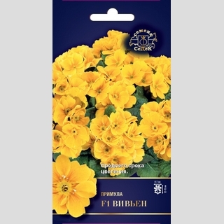 Примула Вивьен F1 (бесстебельная)