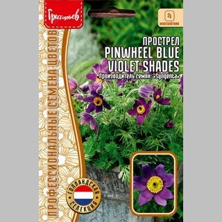 Прострел Pinwheel Blue Violet Shades (большой пакет)