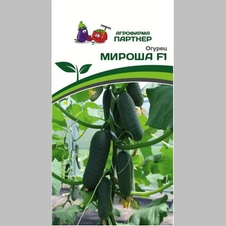 Огурец Мироша F1