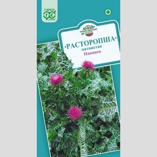 Расторопша Панацея пятнистая