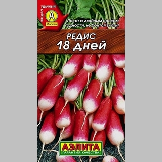 Редис 18 дней