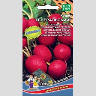 Редис Генеральский