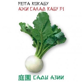 Репа Кокабу Ажи Салад Кабу F1