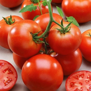 Томат Ретслер F1 (Monsanto Ip Management B.V.)