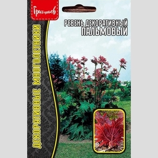 Ревень декоративный Пальмовый (большой пакет)