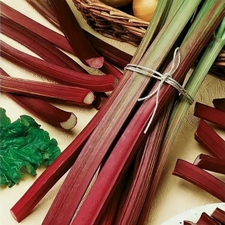 Ревень Виктория