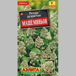 Резеда Маше миньон душистая