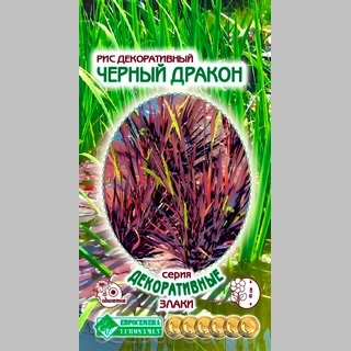 Рис Черный Дракон декоративный