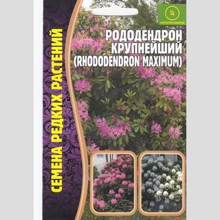 Рододендрон крупнейший