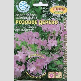 Рододендрон Розовое дерево шлиппенбаха