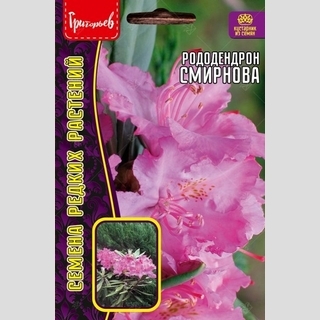 Рододендрон Смирнова (большой пакет)