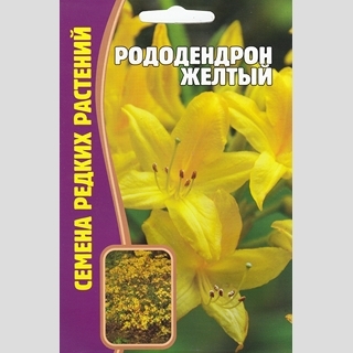 Рододендрон Желтый (большой пакет)