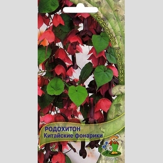 Родохитон Китайские фонарики