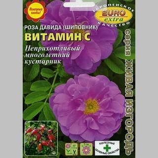 Роза Витамин С Давида