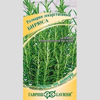 Розмарин Бирюса