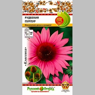 Рудбекия Пурпур