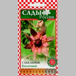 Сабельник Болотный