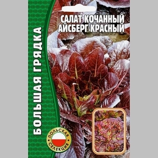Салат Айсберг Красный (большой пакет)