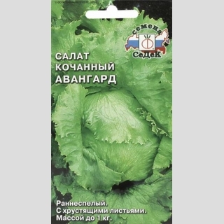 Салат Авангард (айсберг) кочанный
