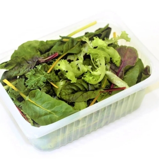 Бэби салат Калифорния смесь