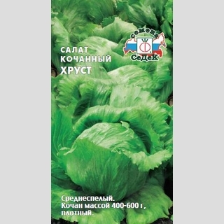 Салат Хруст (айсберг)