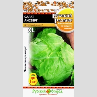 Салат Айсберг Русский размер (кочанный)