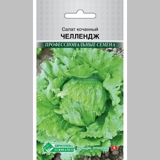 Салат Челлендж