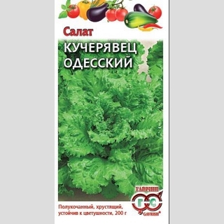 Салат Кучерявец Одесский