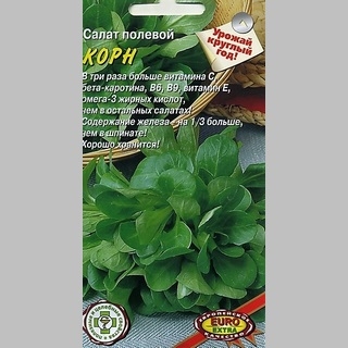 Салат Корн (полевой)