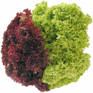 Салат Разноцветное кружево смесь