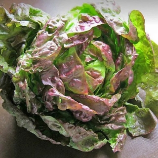 Салат Витаминный сундучок