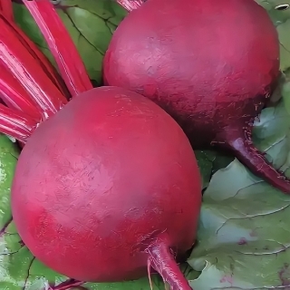 Свекла Салатная